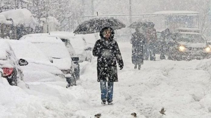 auto_bore-ftohte1519718438-770x433