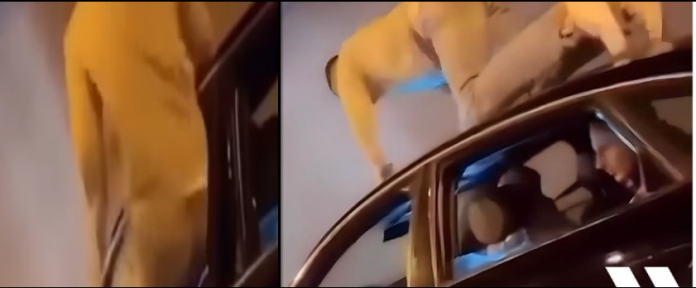 339319965_751343776710787_2049159787812162183_n