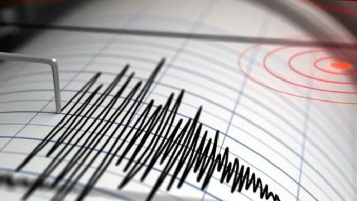 1749305584_termet-770x434